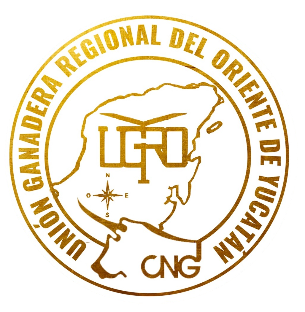 UGROY Logo